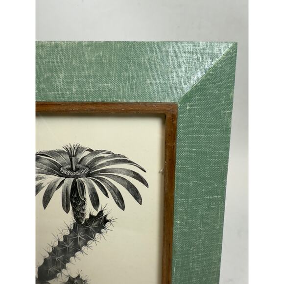 NWT Pigeon & Poodle Dorcester Sage 5 x 7 Frame $139 - Picture 3 of 7